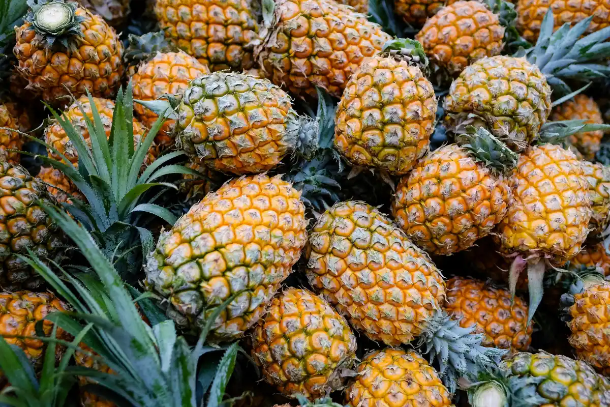Pineapple