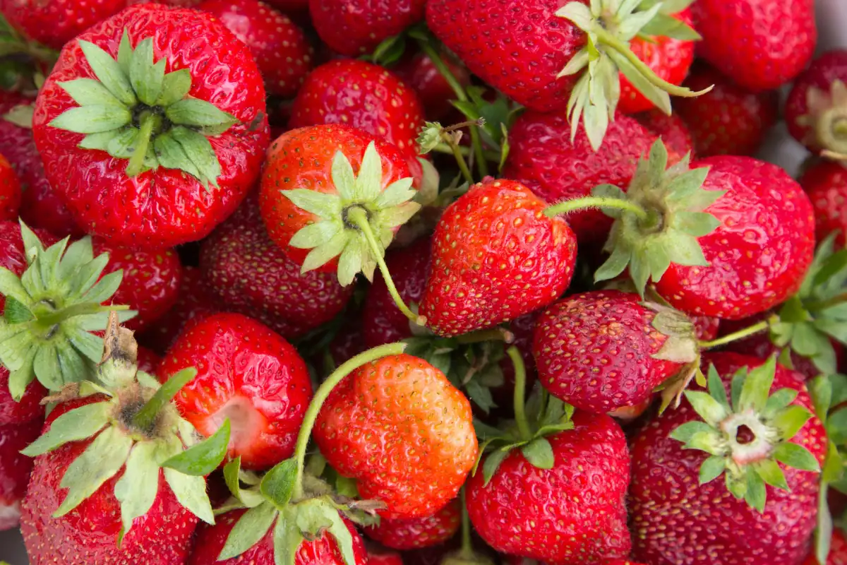 Strawberry